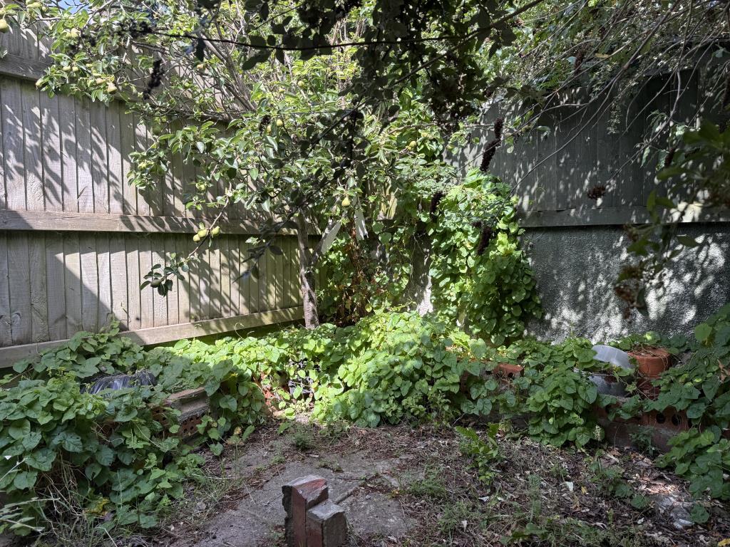 Lot: 83 - TWO-BEDROOM SEMI-DETACHED HOUSE FOR IMPROVEMENT - Garden in need of cultivation